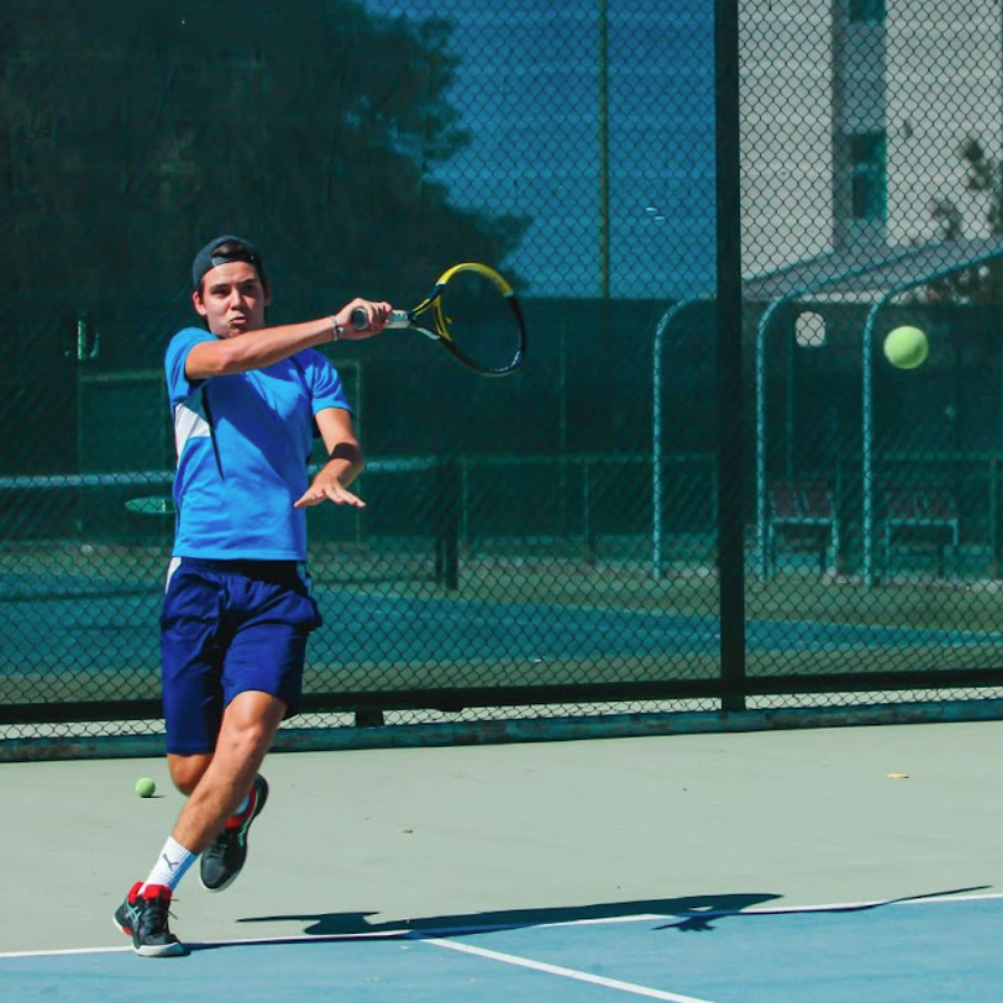 Movement and direction