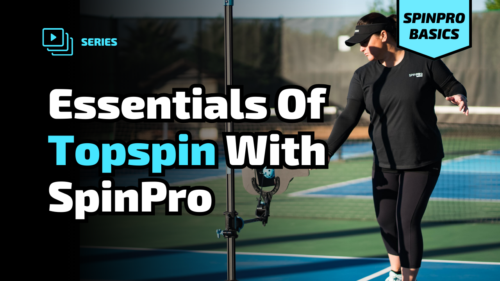 Topspin: Learn The Basics